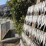 Vista Doro