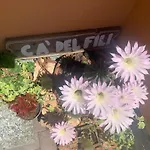 Ca Del Fili