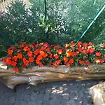 B&B Partenza Funivia