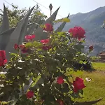 Flora