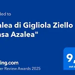 Azalea Di Gigliola Ziello - \