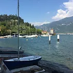 Stelline