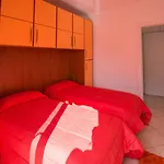 Pinky House