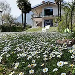 Grazia Al Lago B&B