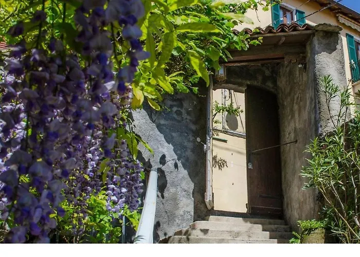 Wisteria House