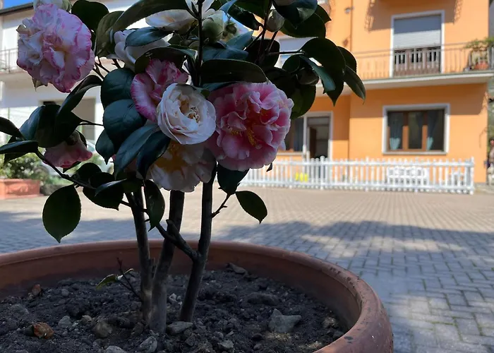 Ca Del Fili