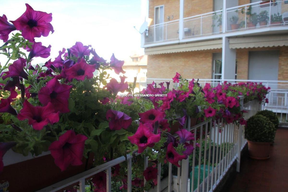 Paradisett Como