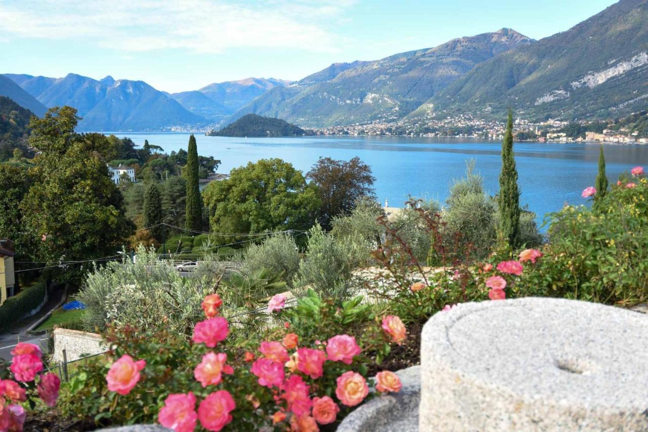 Il Colle Farm stay *