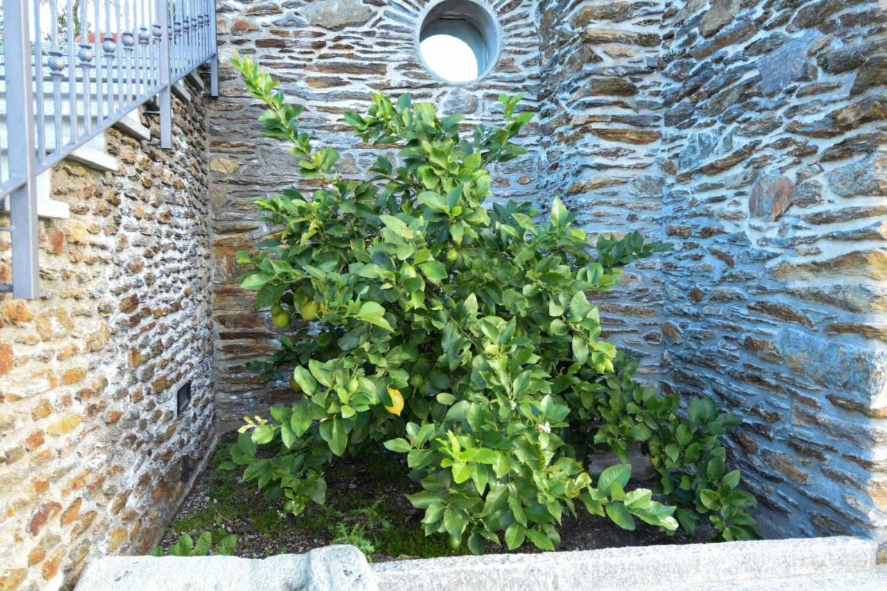 Farm stay Il Colle *