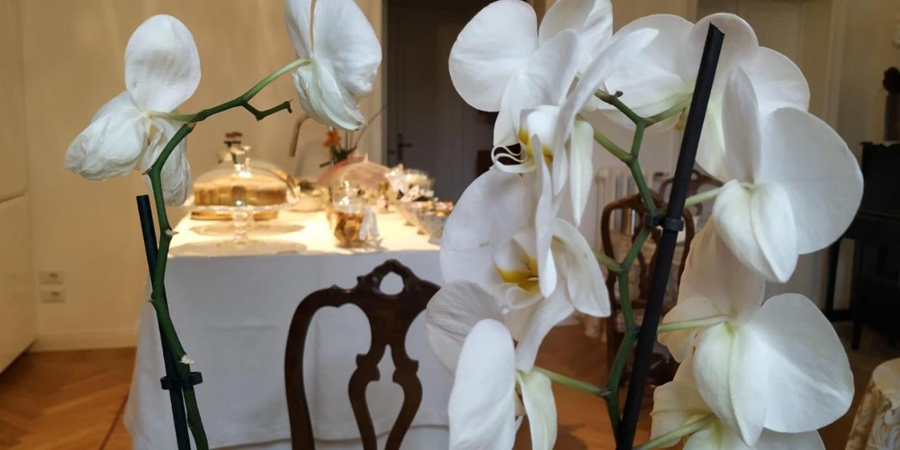 Bed & Breakfast La Belle Coquette