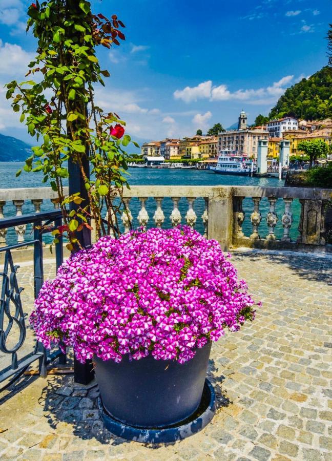 Giardino Apartment Bellagio