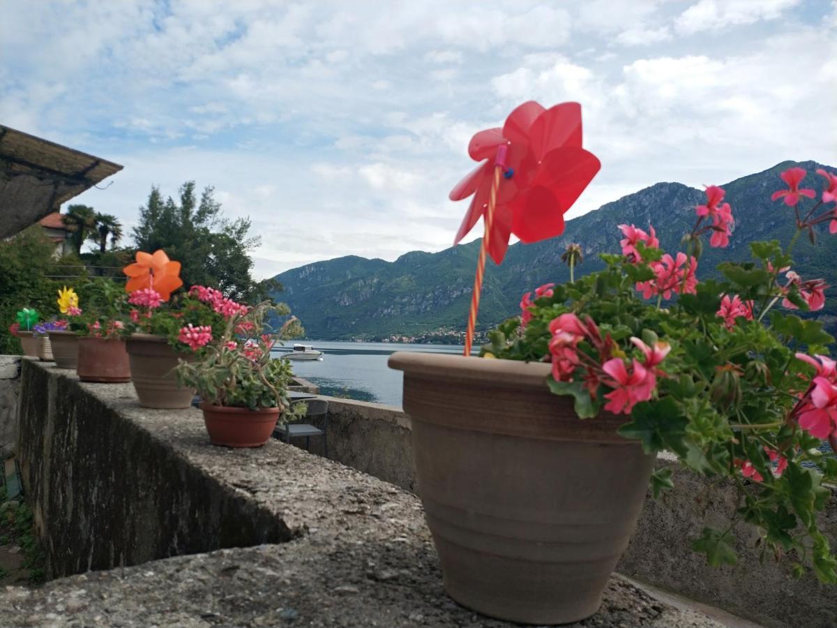 Apartment A Private And Parking Oliveto Lario