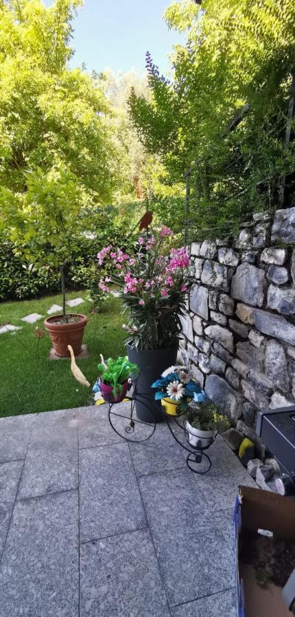 Magic Garden With Jacuzzi-pool And Luxury View Apartment *