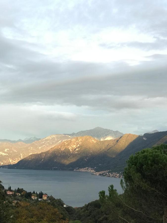 Lodge Oleandra Vip With Garden&swimming Pool Dizzasco