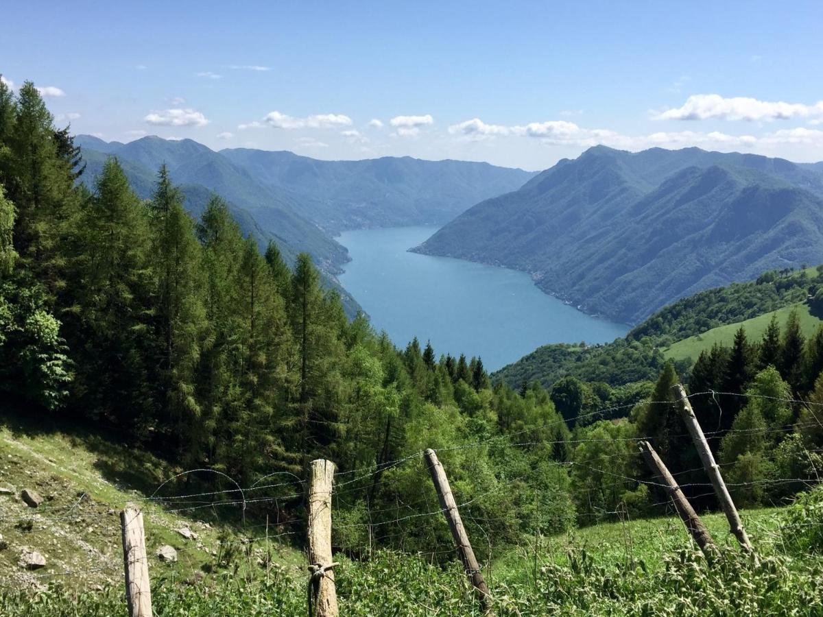 Lake View * Acquaseria