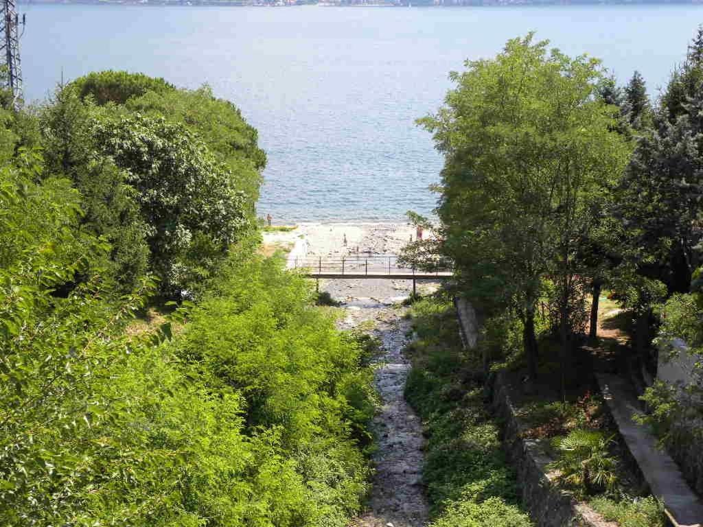 Lake View Acquaseria