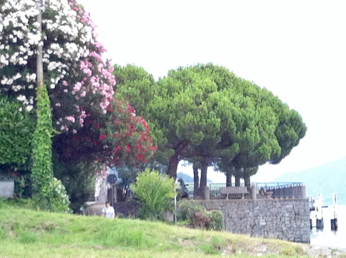 Lake View Acquaseria