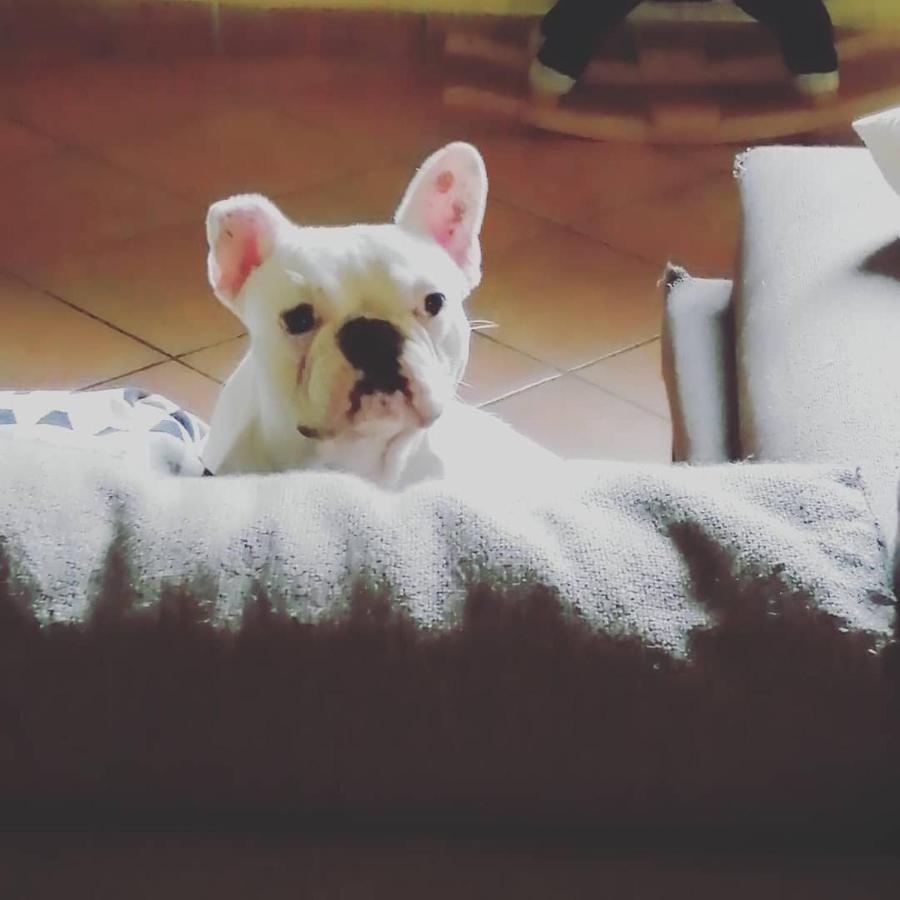 Bed & Breakfast Anita *