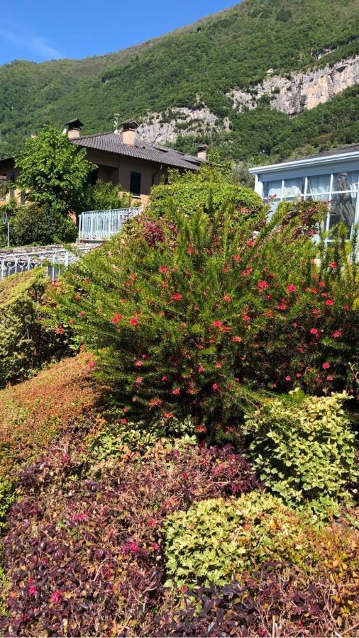 Hotel Lario