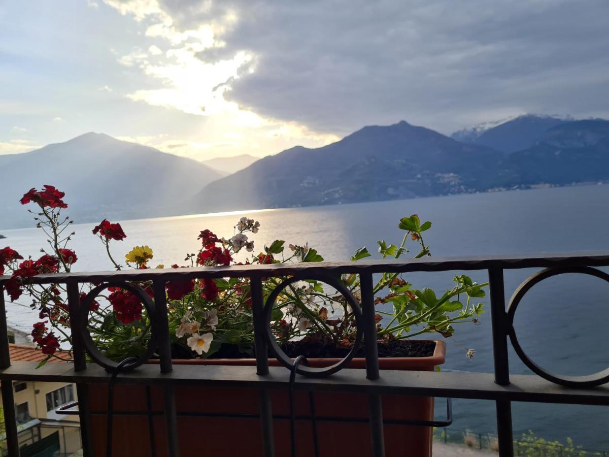 Foresteria Di *