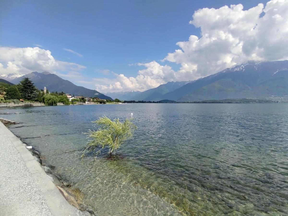Locazione Turistica Gelsomino - Gla125 Gera Lario
