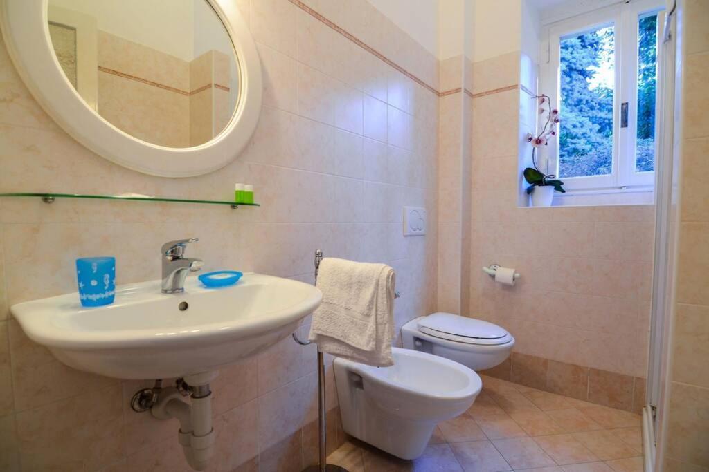 Freedom Apartment