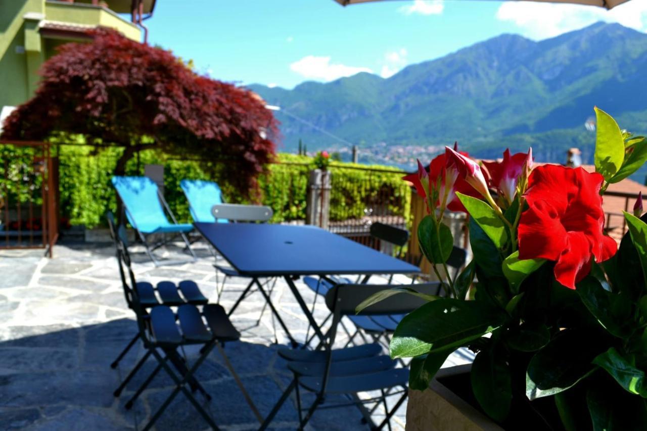 Apartment Le Grigne - The Garden Oliveto Lario