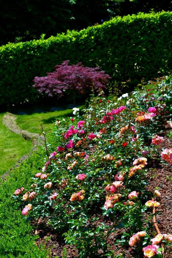 Le Grigne - The Garden Apartment Oliveto Lario