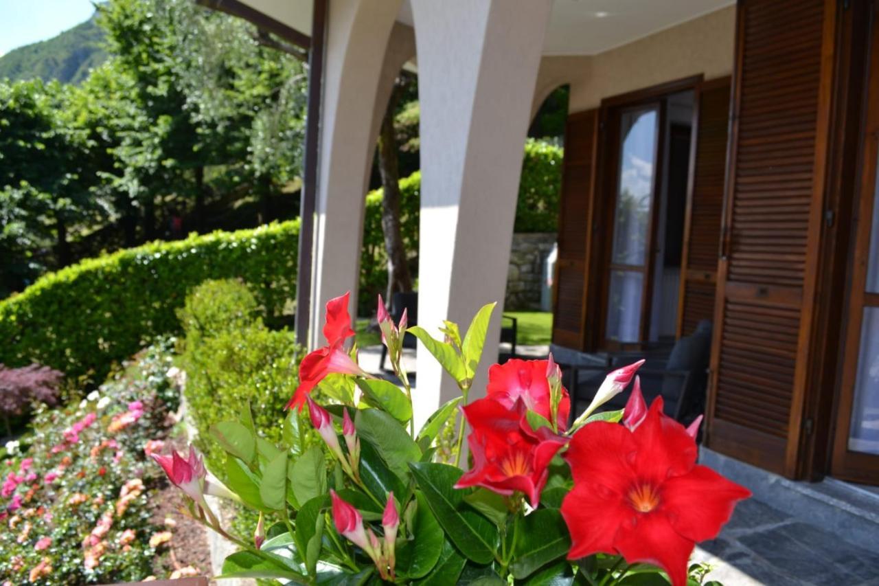 Le Grigne - The Garden Apartment Oliveto Lario