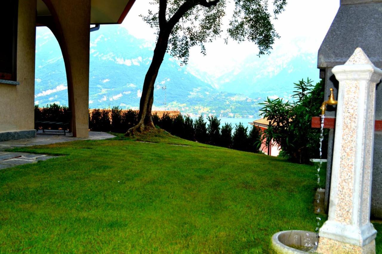 Le Grigne - The Garden * Oliveto Lario