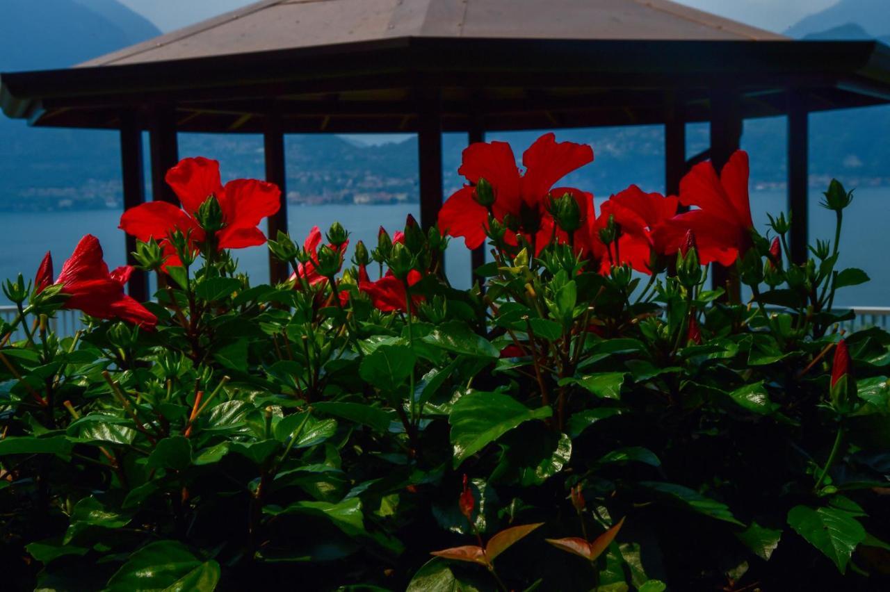 Easy Welcome Perledina - Varenna Perledo