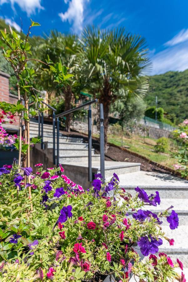 Foresteria Di * Menaggio