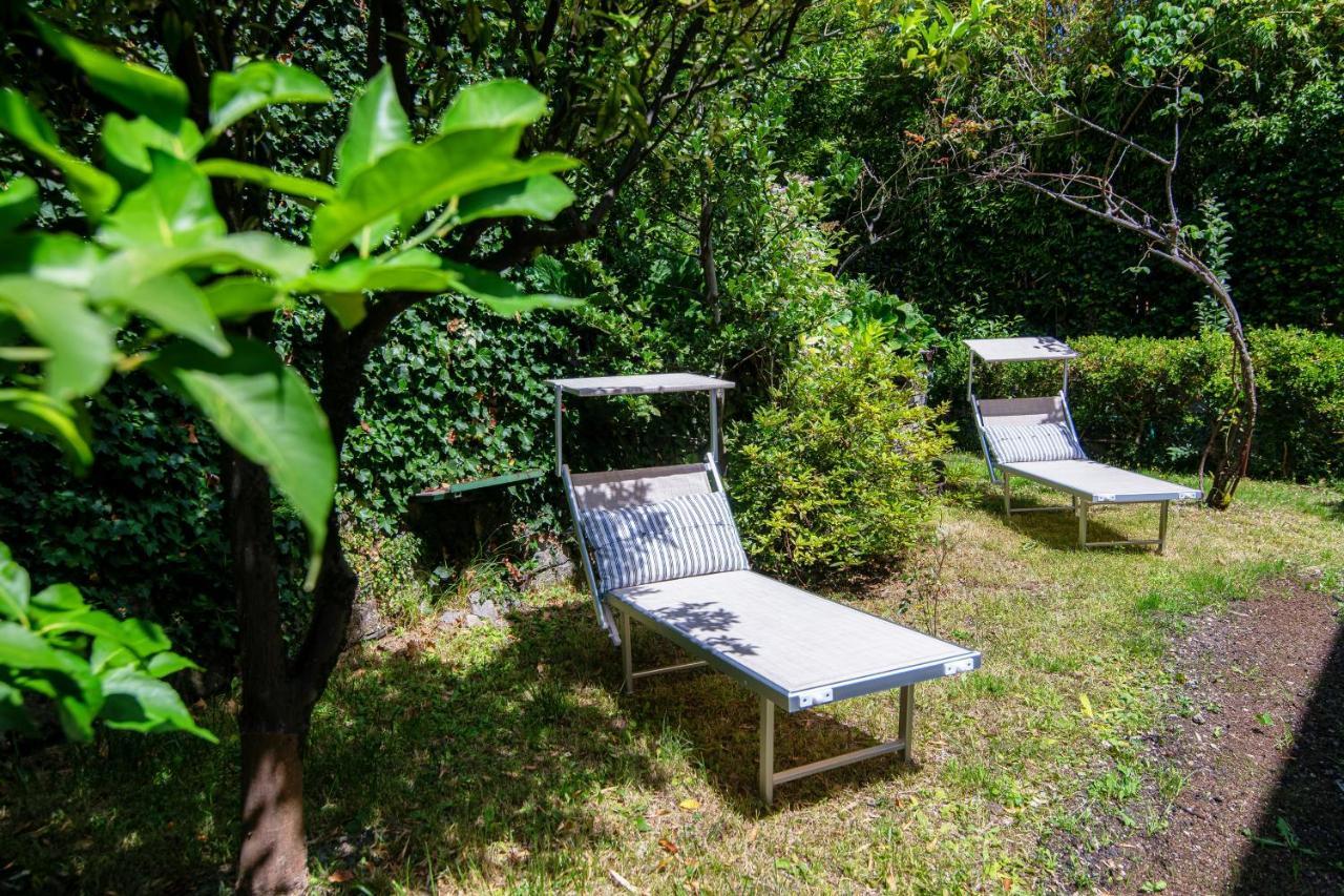 Apartment Lemon Tree Lake View