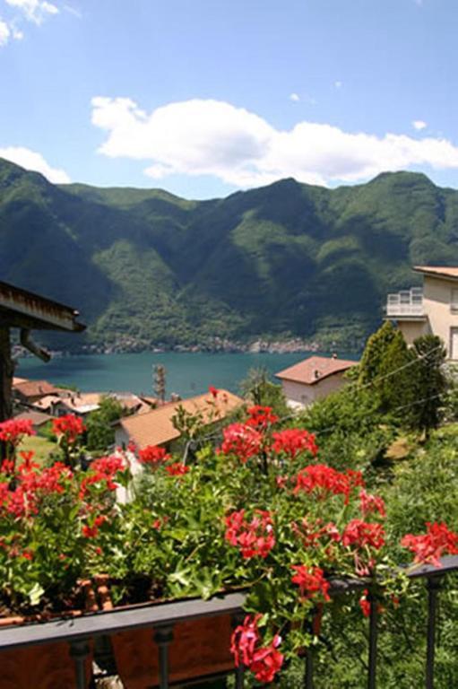 La Ruota Del Mulino Aparthotel