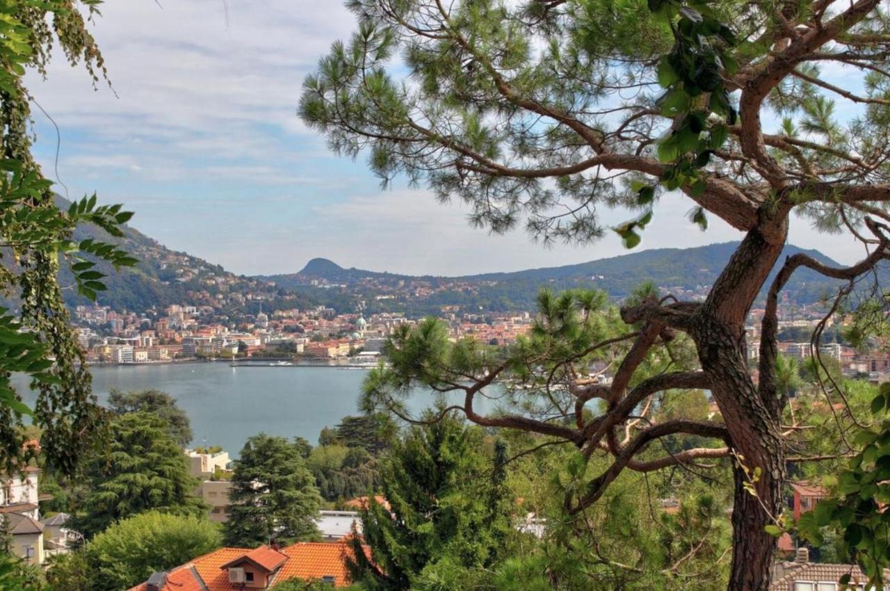 Tobia View By Halldis Apartment