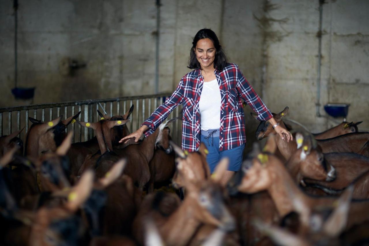Farm stay Deviscio