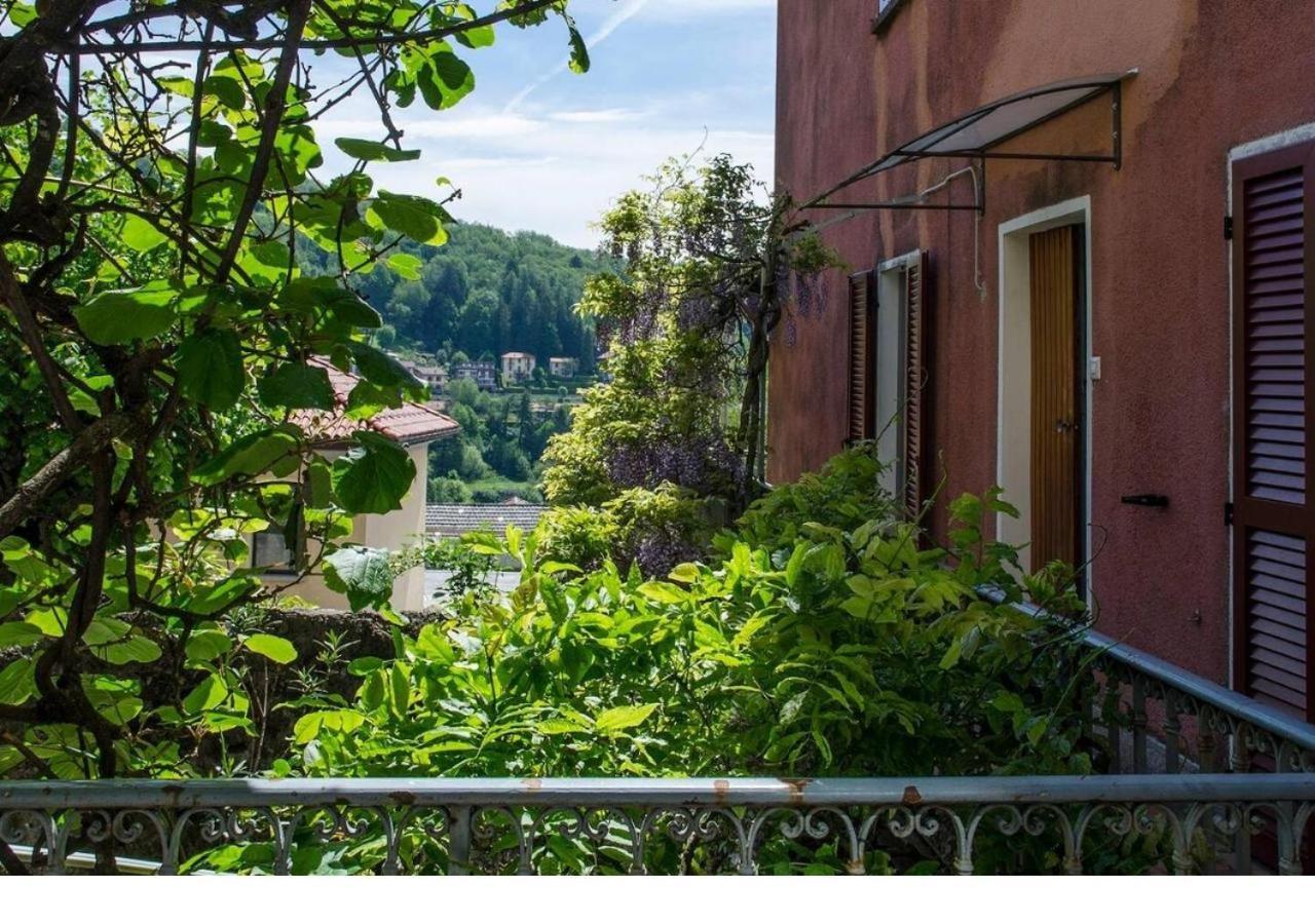 Apartment Wisteria House