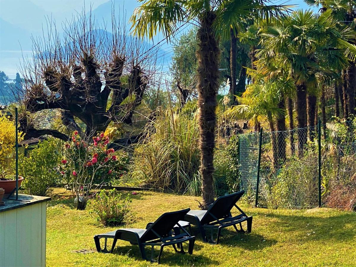 Giardino *