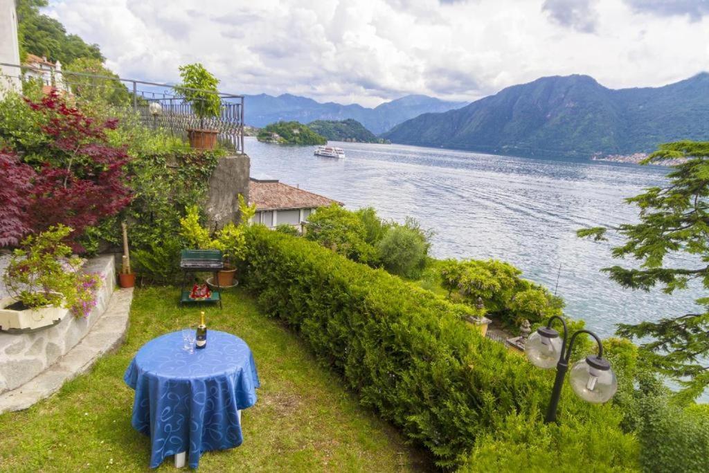 Apartment With View