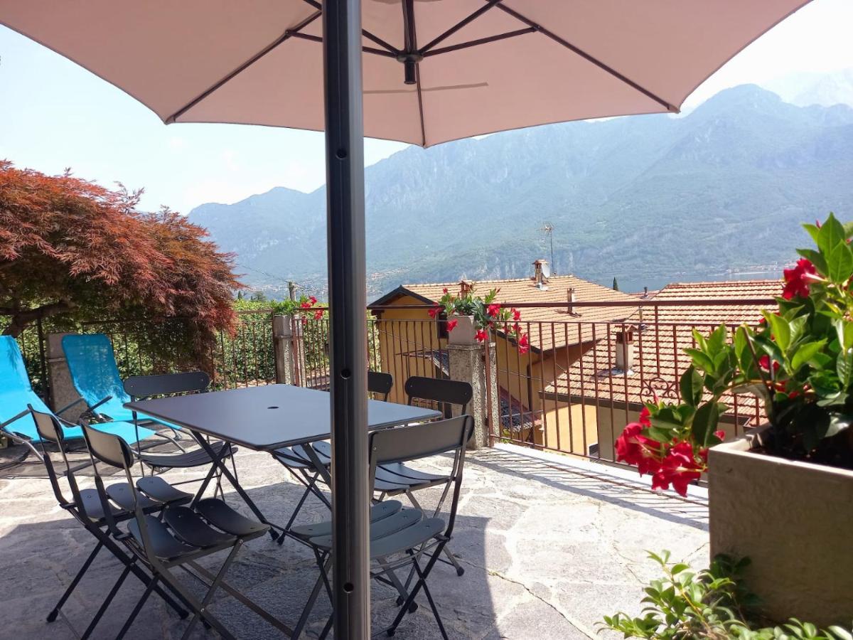 Le Grigne - The Garden Oliveto Lario