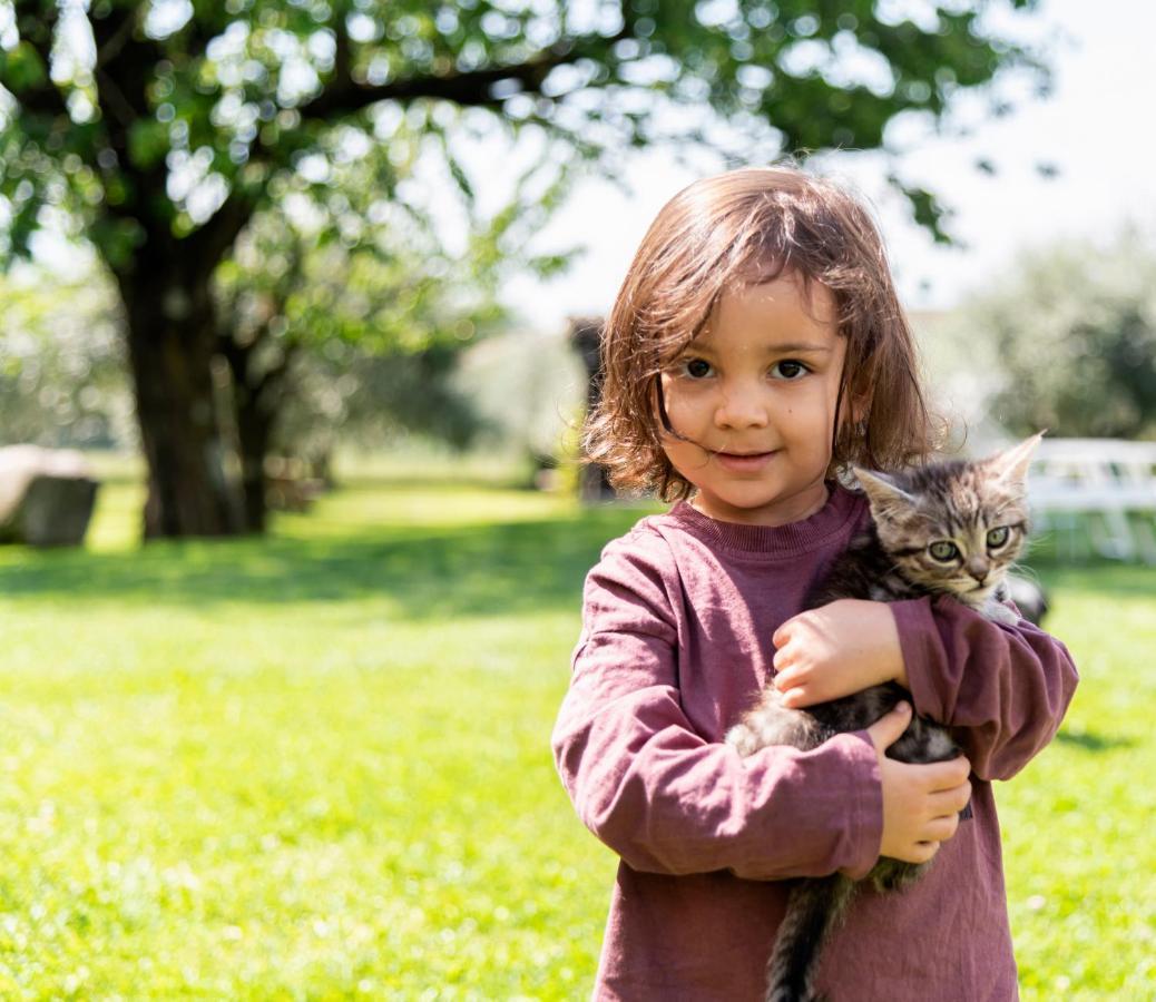 Alloggio per agriturismo Cà Del Gravedona