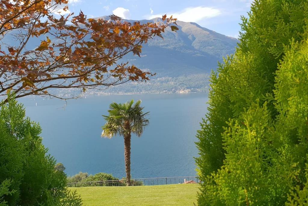 Apartment Vista Di By Villavistalago Bellano