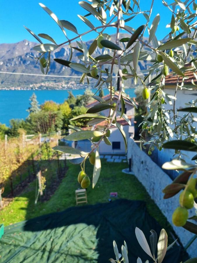 Il Crotto Ferienhaus