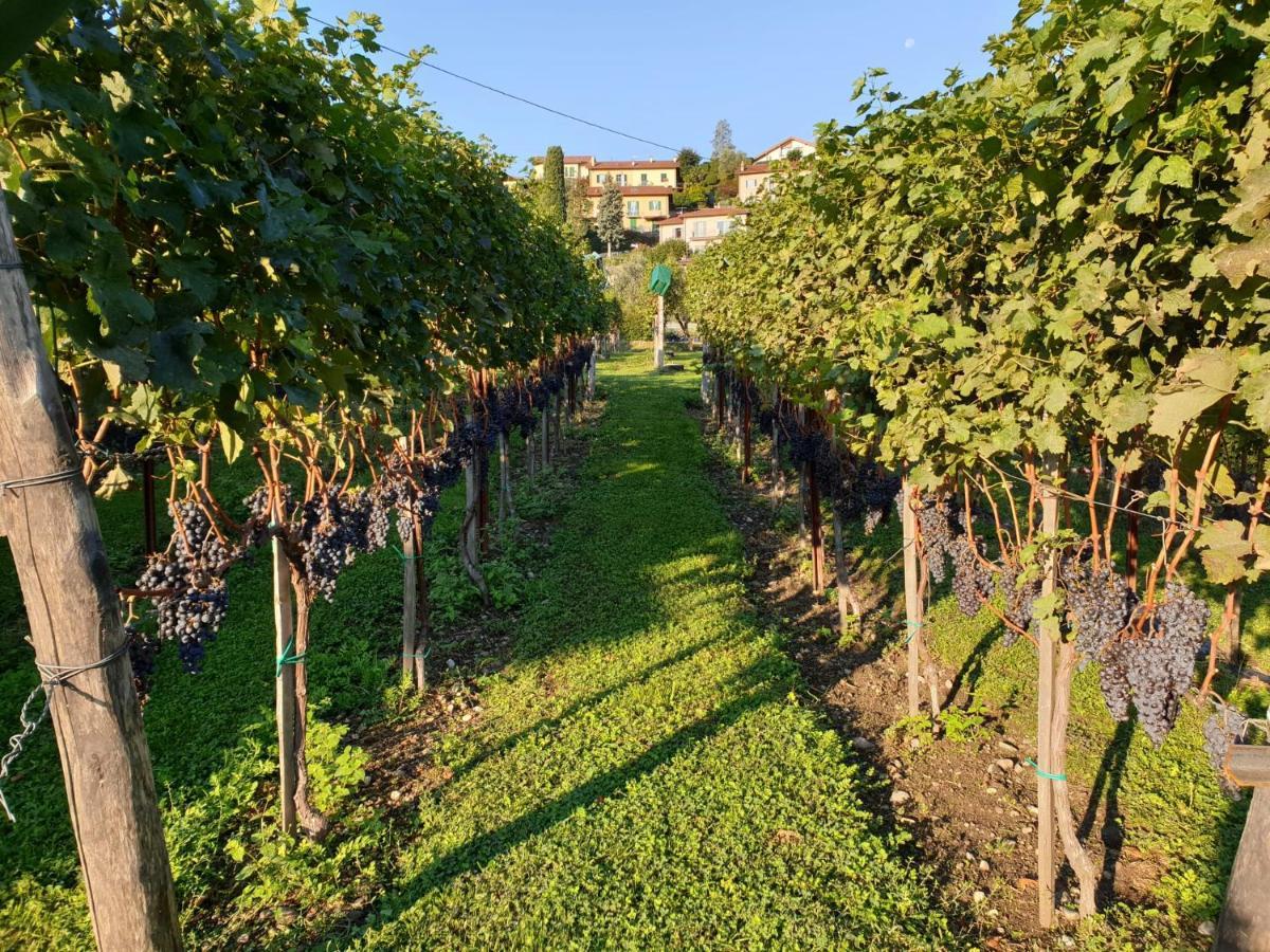 Il Crotto Ferienhaus *