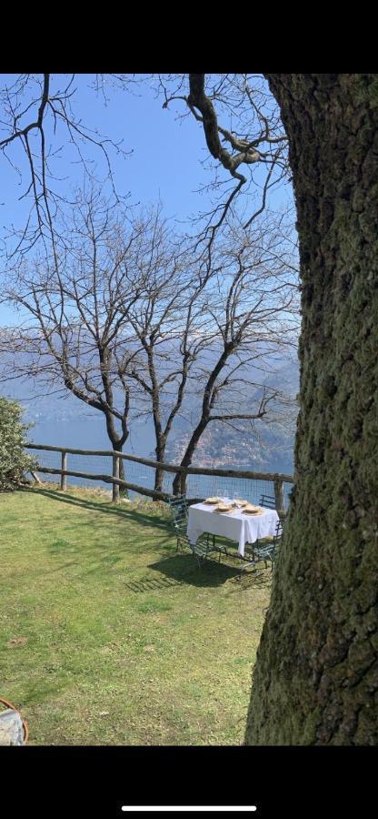 Il Riccio * Cernobbio