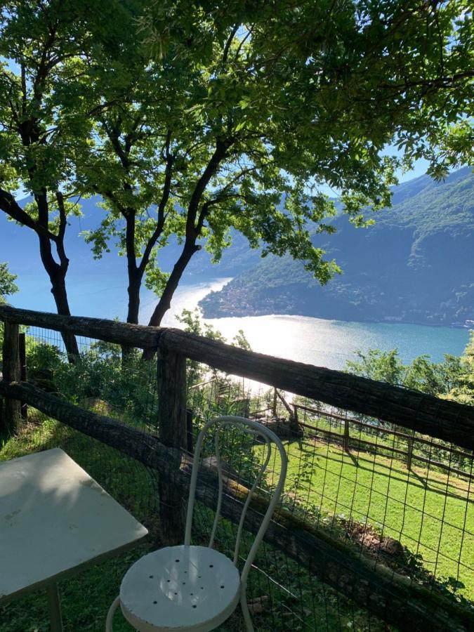 Il Riccio Apartment Cernobbio