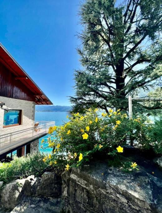 Villa Antonietta, Argegno