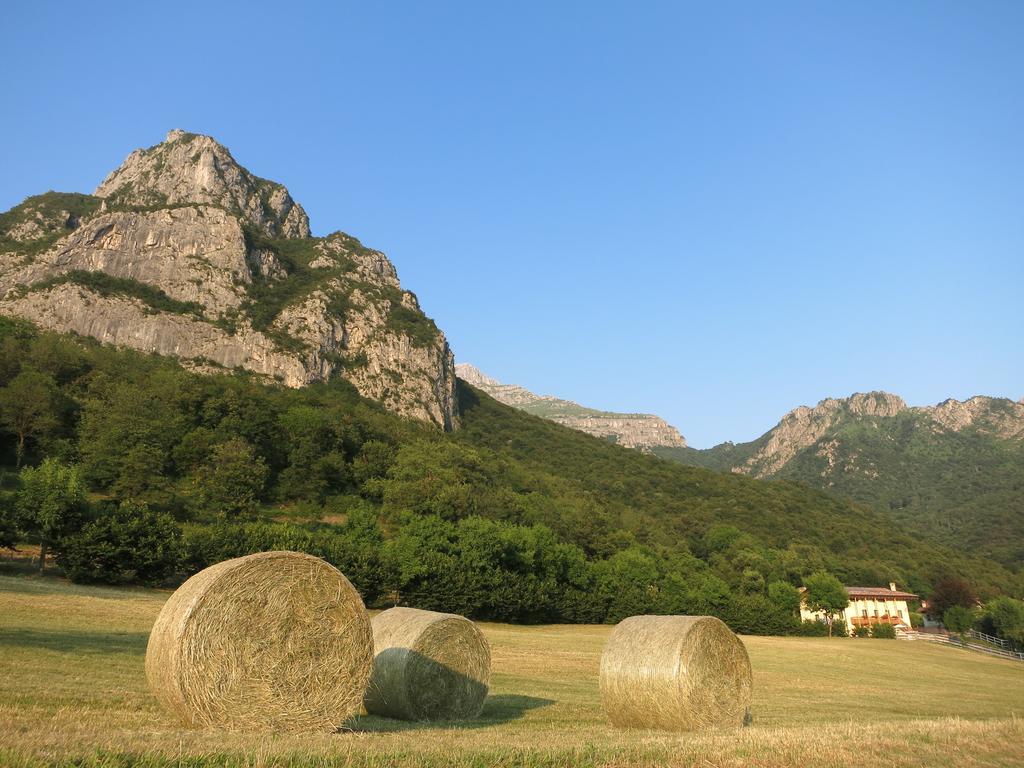 Deviscio * Lecco
