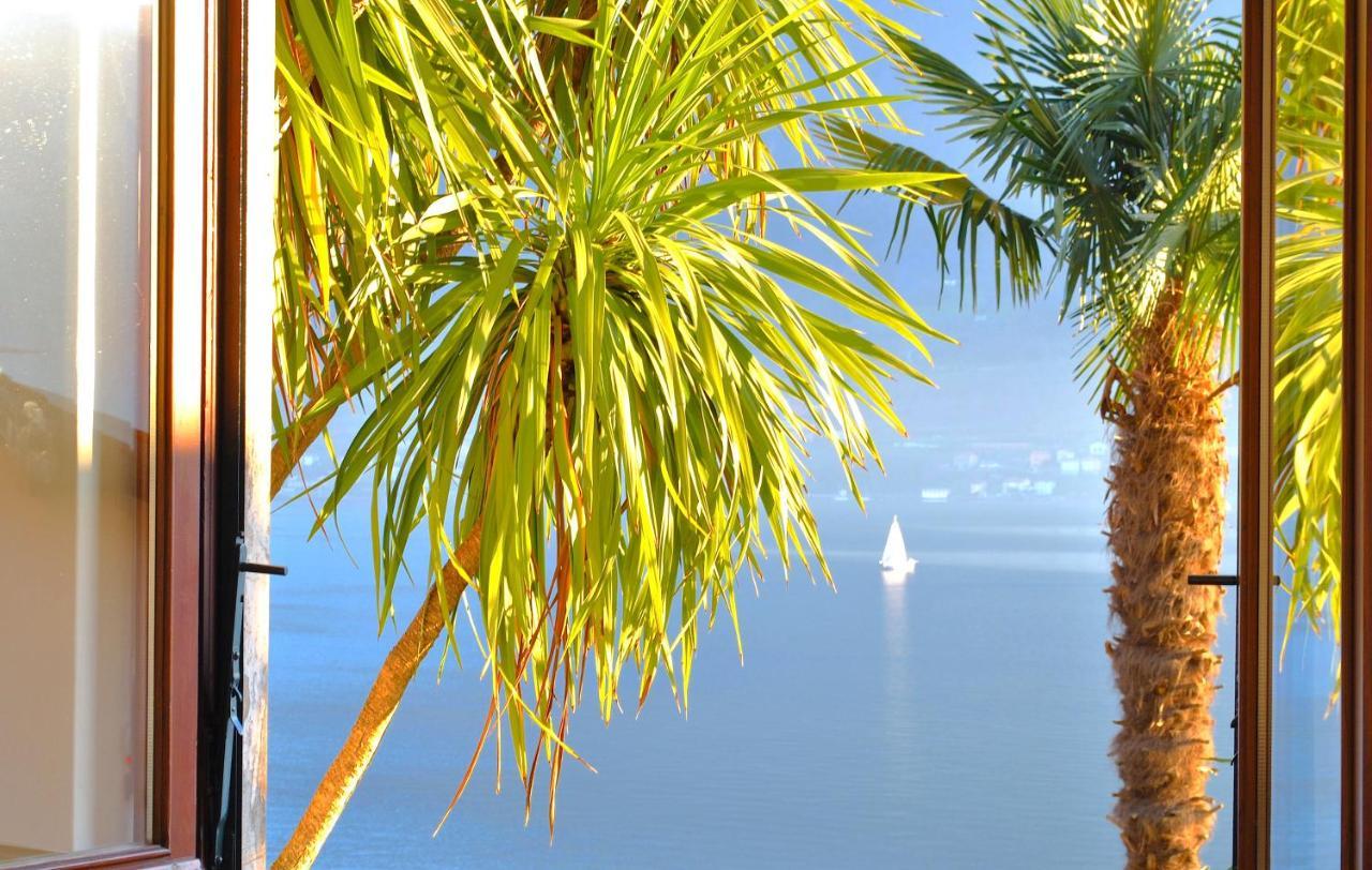 The Palm With Garden Apartment