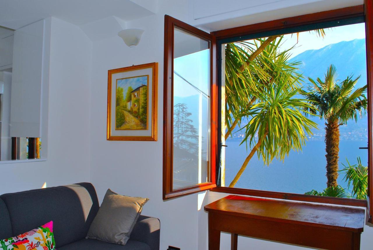 The Palm With Garden *